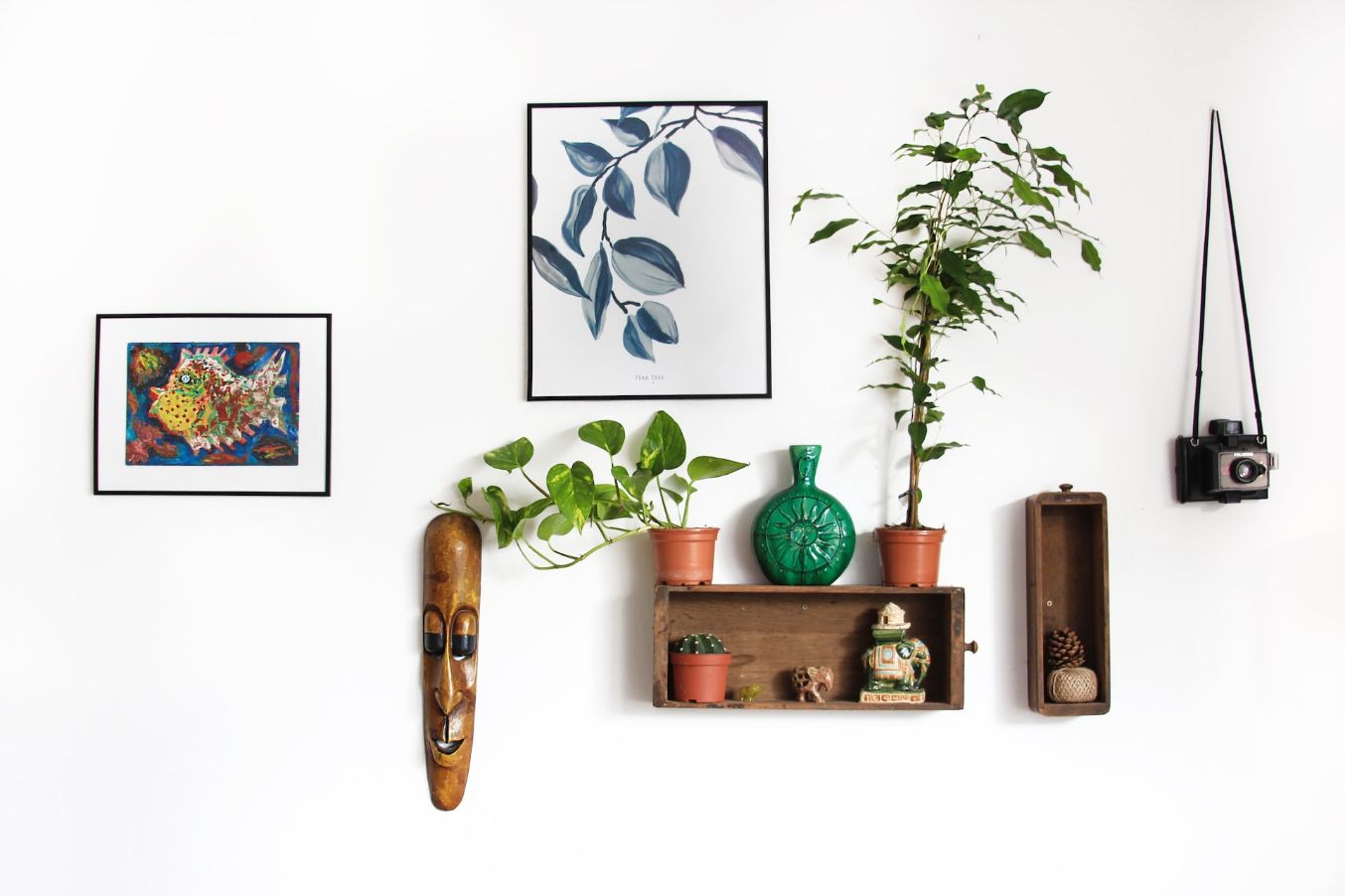 Frame plant photos on a white wall