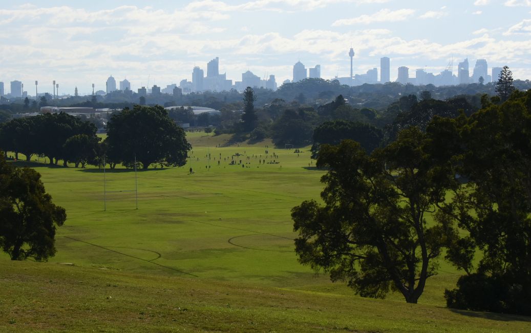 Grassy knoll at queens park taken by Sardaka